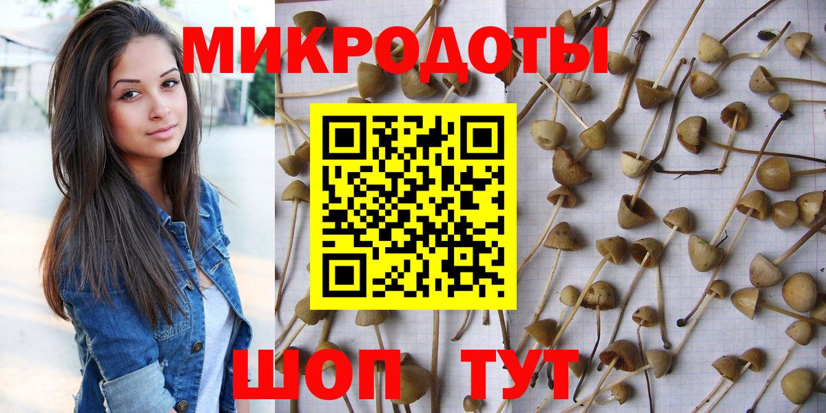 Псилоцибиновые грибы Magic Shrooms  Галлюциногенные грибы Cubensis  Волгодонск  Вход с VPN 